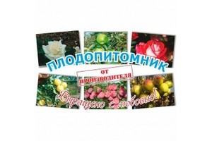 Плодопитомник, село Дракино