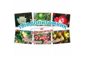 Плодопитомник, село Дракино