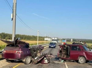 В Рамонском районе 49-летняя женщина погибла в ДТП