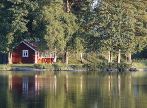Россияне оценили уровень удовлетворенности дачами