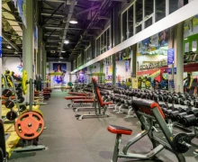 Фитнес-клуб «ALEX FITNESS» (Максимир)