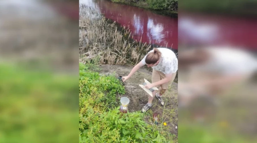 Водоем в Калачеевском районе стал красно-розовым