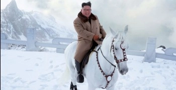 Путин подарил Ким Чен Ыну 24 лошади породы Орловский рысак