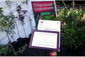 Новоусманский питомник