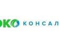 Эко Консалт