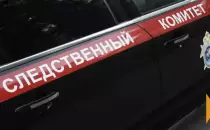 Трагедия в загородном комплексе Рамонского района: почти утонувшая девочка и уголовное дело
