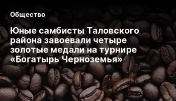 Юные самбисты Таловского района завоевали четыре золотые медали на турнире &laquo;Богатырь Черноземья&raquo;
