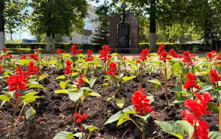 Подгоренские сады: 20 тысяч новых цветов украсили городской ландшафт