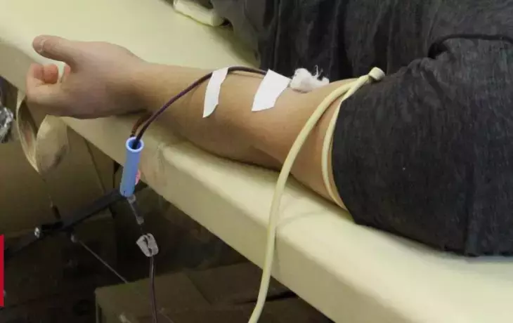 Дни донора в Верхнемамонском районе: как и когда сдавать кровь