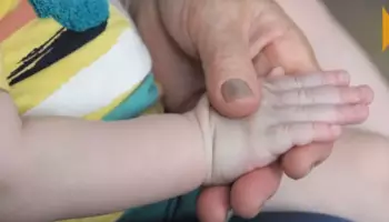 Мошенничество на 6 млн ₽: жительница Воронежской области получала выплаты за вымышленных детей