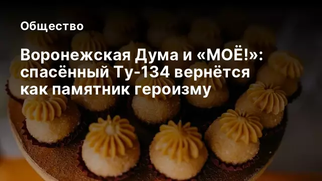 Воронежская Думa и &laquo;МОЁ!&raquo;: спасённый Ту‑134 вернётся как памятник героизму