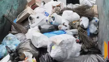 Масштабная проверка вывоза ТКО в Россошанском районе: обнаружено более 90 нарушений