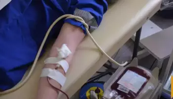 Дни донора в Верхнемамонском районе: более 60 л крови спасены жителям