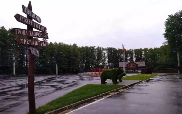 &laquo;Дубрава&raquo; в Новой Усмани будет обработана от клещей: график и рекомендации