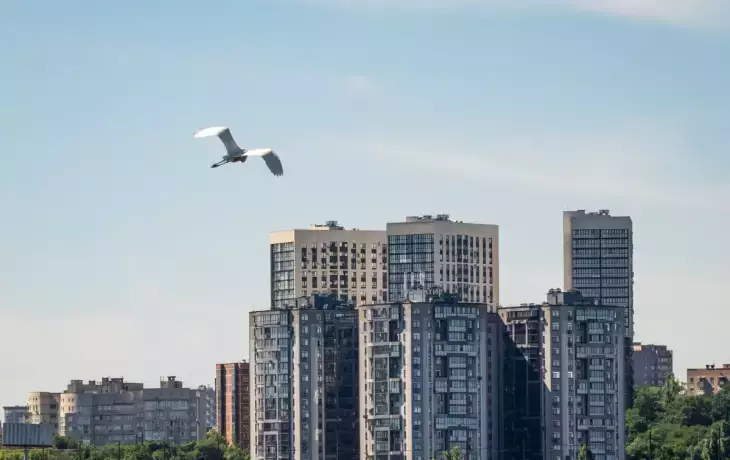 Главные новости Воронежа и региона за 31 марта: пробки, аварии, спорт и суд