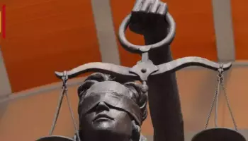 Четыре ворованы на 550 тонн щебня в Павловском районе: суд вынес крупные штрафы