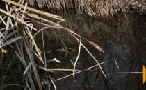 Трагическая находка у водохранилища в Нововоронежe: обнаружено тело мужчины