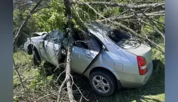 Трагедия на автодороге Калач‑Манино: погиб пожилой пассажир после столкновения Nissan с деревом