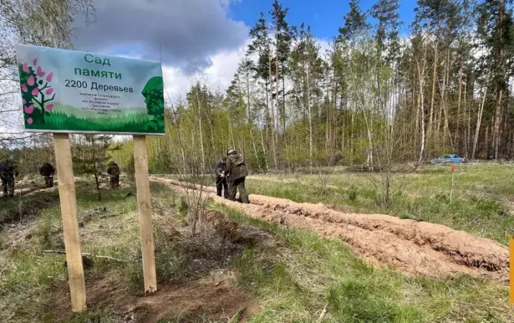 Два тысячa сосновых сеянцев высажены в Острогожском районе в рамках акции &laquo;Сад памяти&raquo;